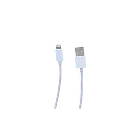 T'Nb Câble Lightning pour iPhone / iPad / iPod - 1 m Câble Lightning pour iPhone / iPad / iPod - 1 m