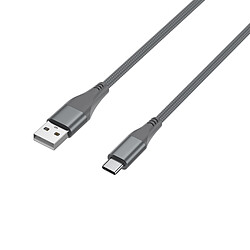 Acheter WE Câble USB vers USB-C Ultra Résistant en Nylon Tressé et Kevlar, 2 Mètres, Certifié MFi, Charge et Synchronisation des Données - Gris