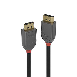 Lindy 36480 DisplayPort cable