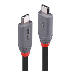 Lindy 36947 USB cable