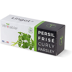Avis Véritable Pack de 4 Lingots pour Potager d'intérieur - Persil frisé - Coriandre - Menthe verte - Ciboulette