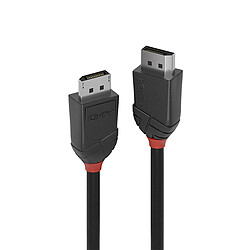 Lindy 36490 DisplayPort cable