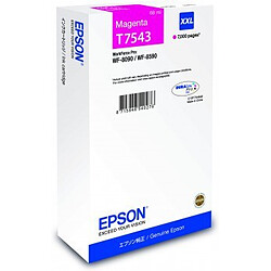 EPSON - T7543 - Taille XXL - magenta