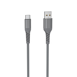 WE Câble USB vers USB-C Ultra Résistant en Nylon Tressé et Kevlar, 1 Mètres, Certifié MFi, Charge et Synchronisation des Données - Gris