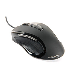 Avis Gigabyte GM-M6980X