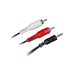 Câble Jack 3,5mm mâle/ 2RCA mâle D2 Diffusion