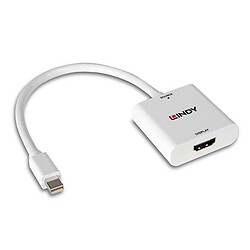 Avis Lindy Convertisseur Mini DisplayPort vers HDMI