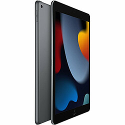 Avis Apple iPad 9 (2021) - 64 Go - Wi-Fi - Gris Sidéral