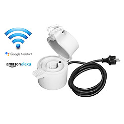 Acheter Ledvance Prise connectée extérieur SMART+ WIFI OUTDOOR PLUG