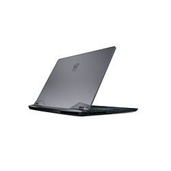 Avis MSI GE76 Raider 10UH-087FR - Gris