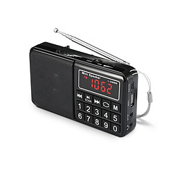 WE Radio grandes ondes AM / FM / SW Lecteur USB / Micro SD batterie rechargeable NOIR