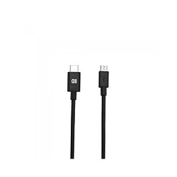 Avis D2 Diffusion Câble USB-C mâle/micro USB mâle