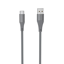 WE Câble USB vers USB-C Ultra Résistant en Nylon Tressé et Kevlar, 2 Mètres, Certifié MFi, Charge et Synchronisation des Données - Gris