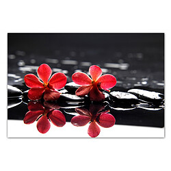 DECLIKTABLEAU Tableau Floral Fleurs Rouges Sur Fond Noir 80  x  55 cm 