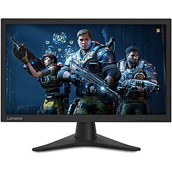 Lenovo 24" LCD 65FDGAC2EU