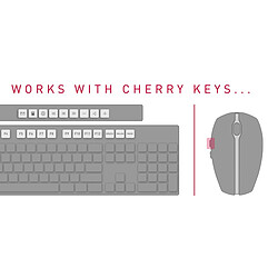 Cherry DW 5100 - Pack Clavier + Souris 6 boutons - Piles durée de vie 2 ans - Sans fil - Noir pas cher