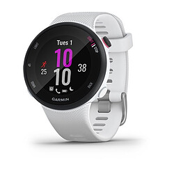 Garmin Forerunner 45S - 39 mm - Blanc Montre de course GPS connectée dotée de toutes les fonctionnalités de course à pied dont vous avez besoin, avec un design élégant et léger