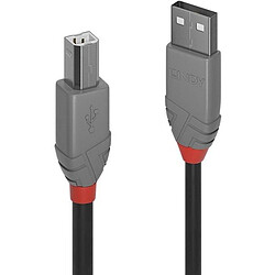 LINDY Câble USB 2.0 type A vers B - Anthra Line - 3m 