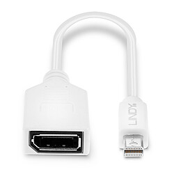 Acheter Lindy 41021 DisplayPort cable