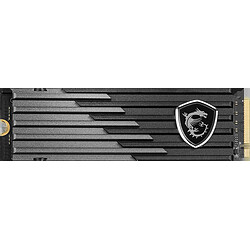 MSI SPATIUM PLAY M480 PCIe 4.0 NVMe M.2 1TB pas cher