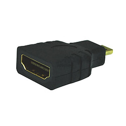 Acheter Heden Adaptateur Micro HDMI - HDMI Femelle