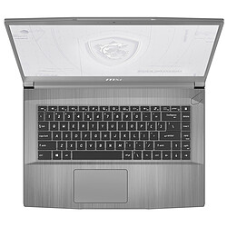 Avis MSI Work Station WF65-10TI-423FR - Gris 