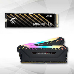 Corsair Vengeance RGB PRO - 2 x 8 Go - DDR4 3200 MHz CAS 16 - Noir + Disque SSD - SPATIUM M461 PCIe 4.0 NVMe M.2 1TB