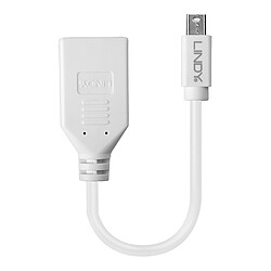 Lindy 41021 DisplayPort cable