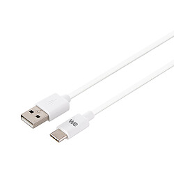 WE Câble Plat USB-C vers USB 1m pour Samsung S8/S9/S10, MacBook Pro, Google Pixel/Chromebook, Huawei P20/P30 Xiaomi - Blanc