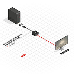 Avis Lindy Convertisseur Actif DisplayPort 1.2 vers HDMI 18G