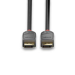 Acheter Lindy Câble Anthra Line DisplayPort 1.2, 7.5m