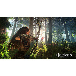 Guerrilla Games Horizon Zero Dawn - PS4