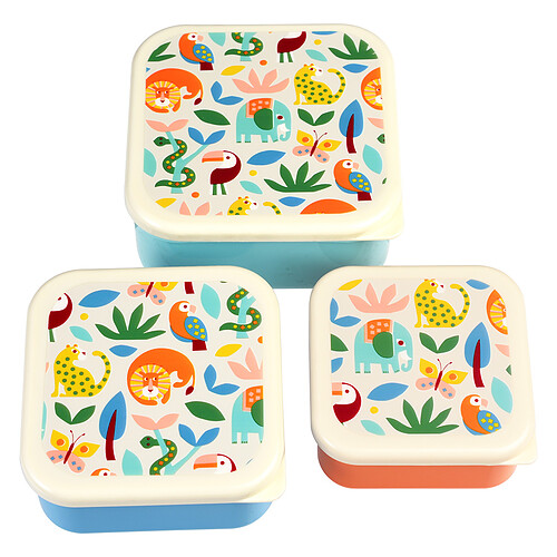 Rex London Lot de 3 Boîtes - Wild Wonders