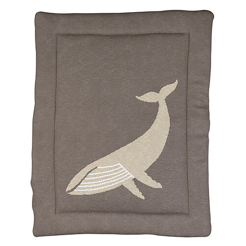 Quax Fond de Parc Tricot - Baleine