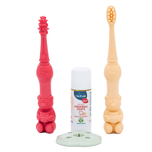 Neobulle Kit Educatif Poussée Dentaire