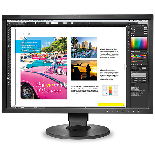 EIZO 24.1" LED - ColorEdge CG2420