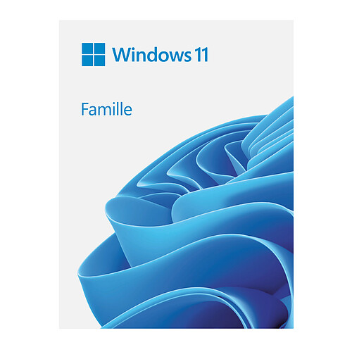 Microsoft Windows 11 Famille - Version clé USB