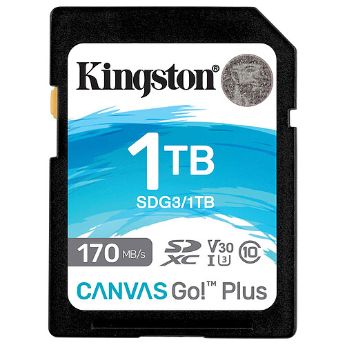 Kingston SD Plus Canvas Go! SDG3/1TB