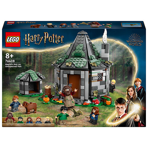 LEGO Harry Potter 76428 La cabane de Hagrid : une visite inattendue