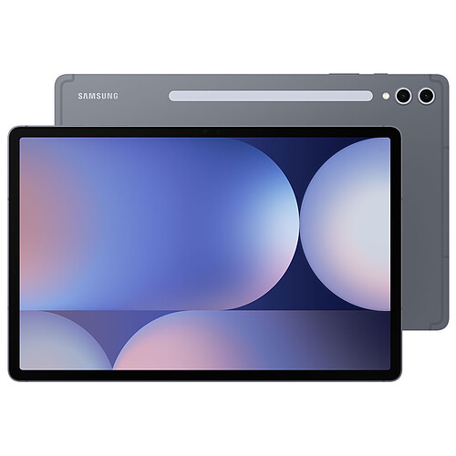 Samsung Galaxy Tab S10+ 12.4" SM-X820 256 Go Gris 5G