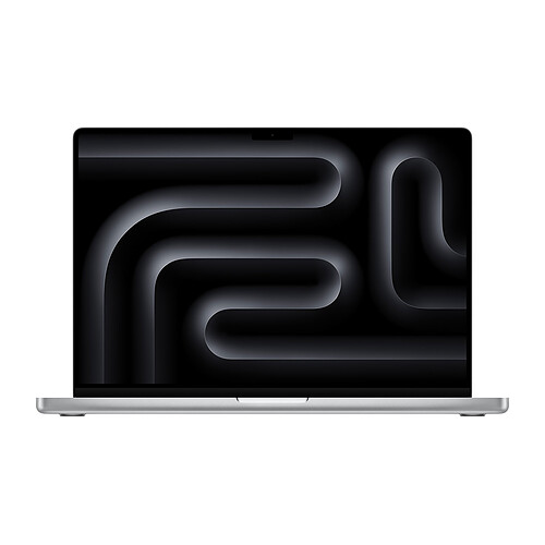 Apple MacBook Pro M4 Pro 16" Argent 24 Go/2 To (MX2T3FN/A-2TB)