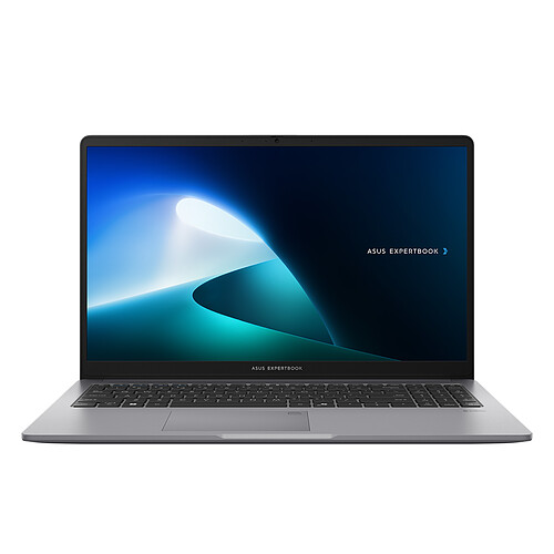 ASUS ExpertBook P1 P1503CVA-S72482X