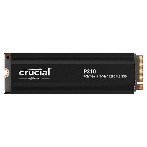 Crucial P310 1 To 2280 - Avec dissipateur