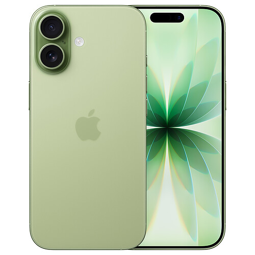 Apple iPhone 17 256 Go Sauge