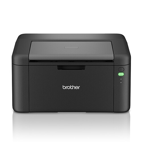 Brother HL-L1240W