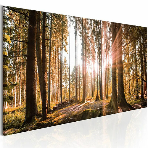 Paris Prix Tableau Imprimé Small Natural Wonders 50 x 150 cm