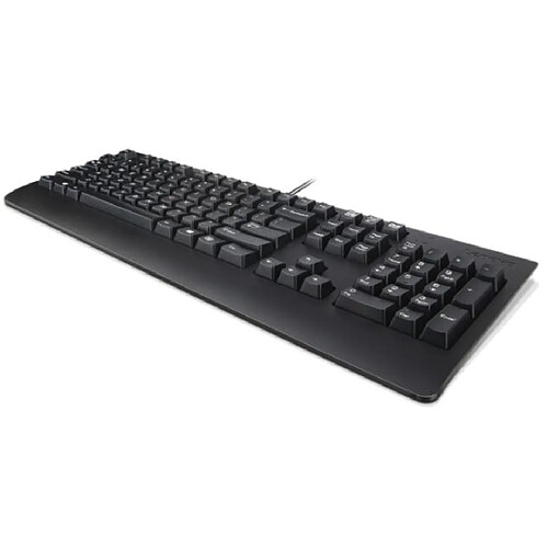 Lenovo Preferred Pro II clavier USB QWERTY Finlandais, Suédois Noir