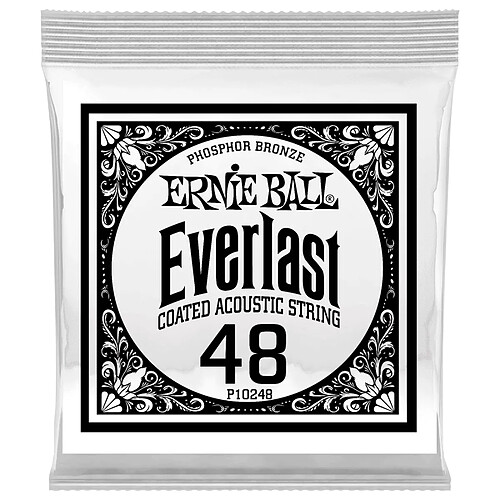 10248 Everlast Coated Phophore Bronze 48 Ernie Ball