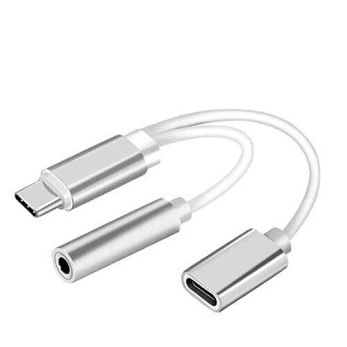 INECK - Adaptateur USB Type C vers Jack 3,5?mm casque + USB C femelles