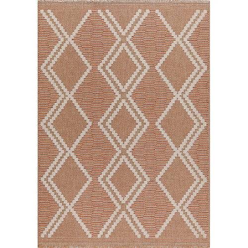 Jardindeco Tapis intérieur extérieur aspect jute terracotta Tijuana 9048 180 x 67 cm.